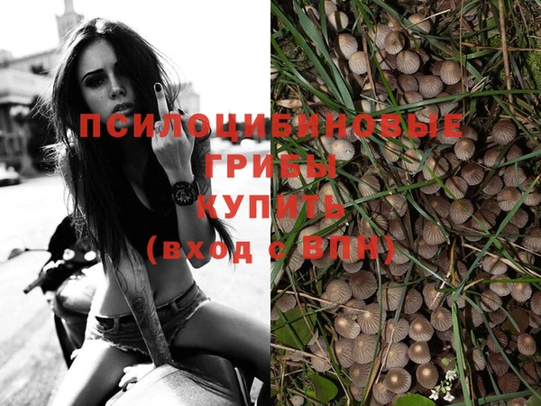 прущая мука Дмитриев