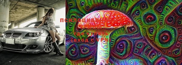 гашишное масло Дмитровск