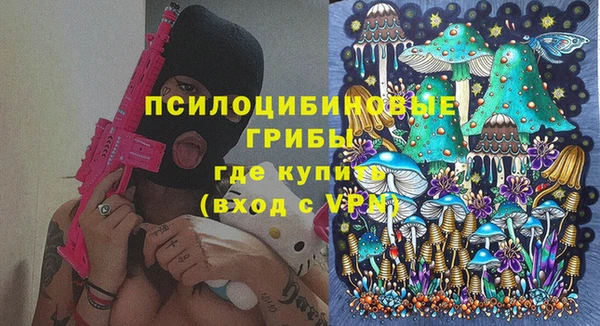 прущая мука Дмитриев