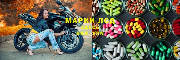прущая мука Дмитриев