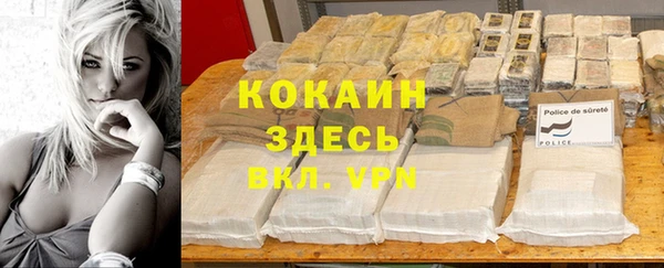прущая мука Дмитриев