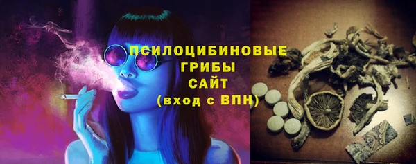 прущая мука Дмитриев