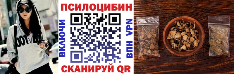Галлюциногенные грибы GOLDEN TEACHER  Купить где  Приволжск 