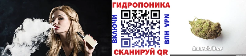 Бошки Шишки VHQ  Купить где  Приволжск 